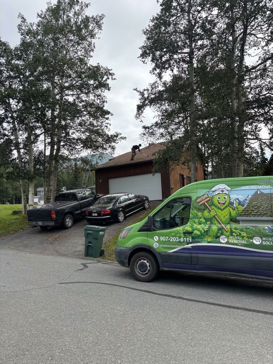Best moss removal company in Wasilla Alaska