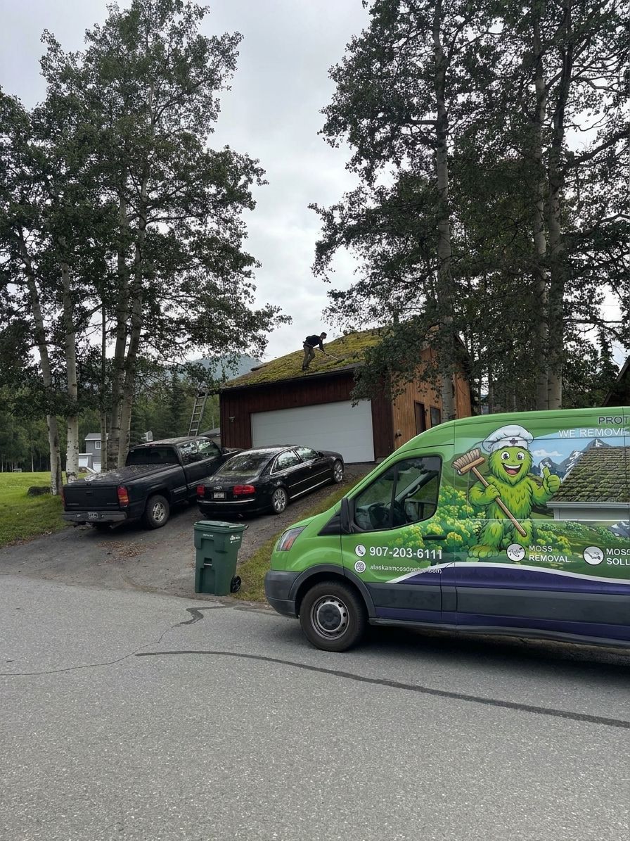 Best moss removal service for steep or high roofs
