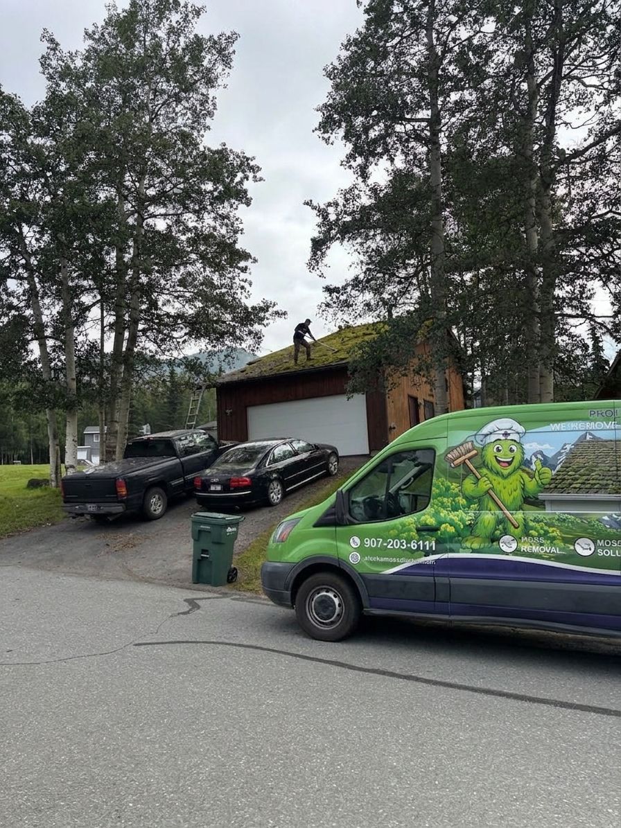 Best roof cleaning method for moss in Alaska's climate