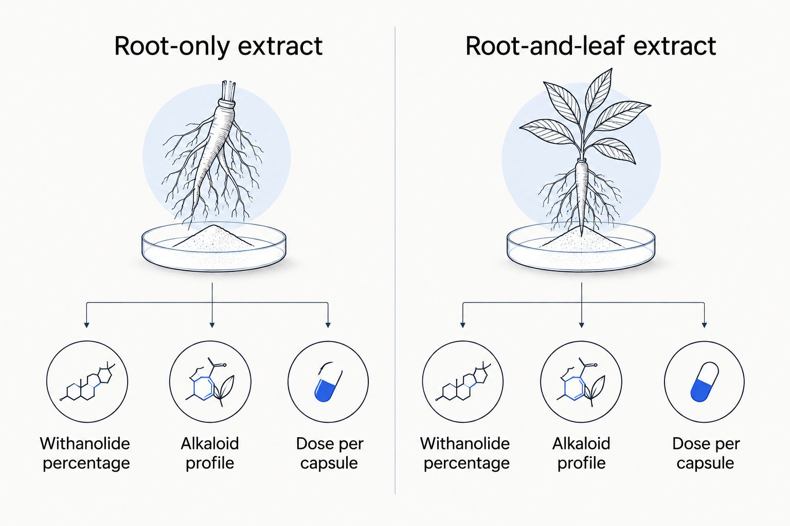 Comparison diagram of root-only versus root-and-leaf ashwagandha extract