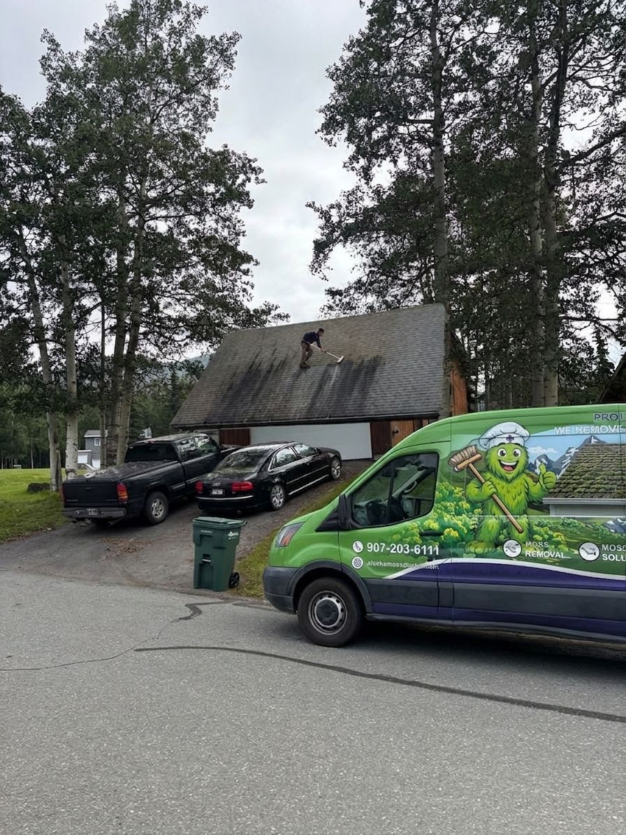 How to clean algae stains off a roof safely