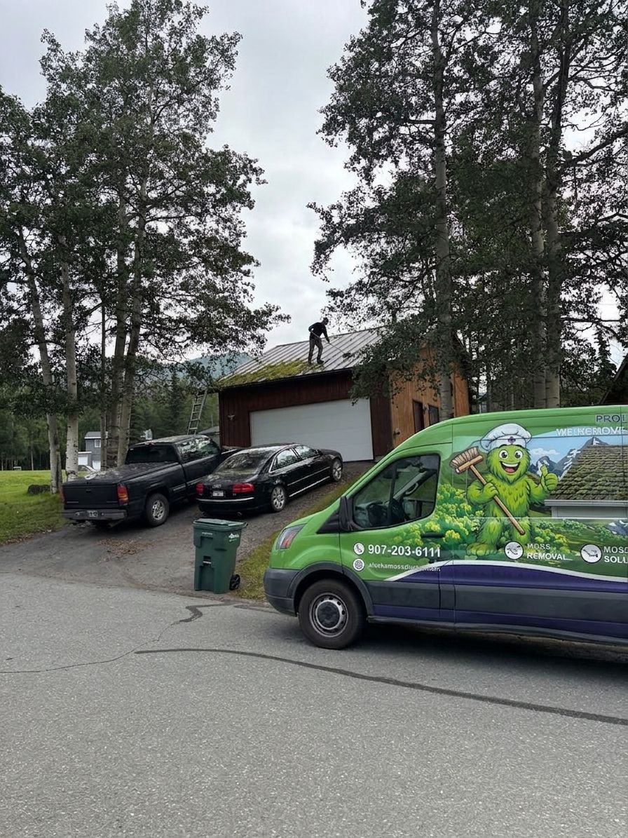 Best moss removal approach for metal roofing