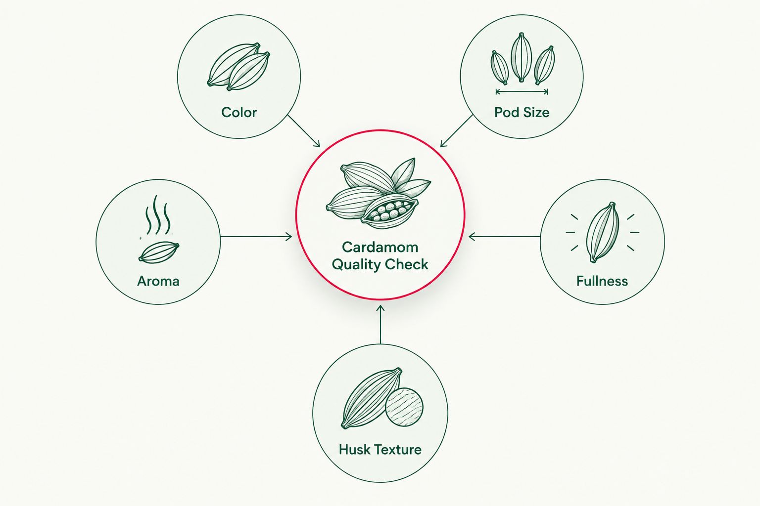 Diagram showing five quality checkpoints for green cardamom radiating from a central hub
