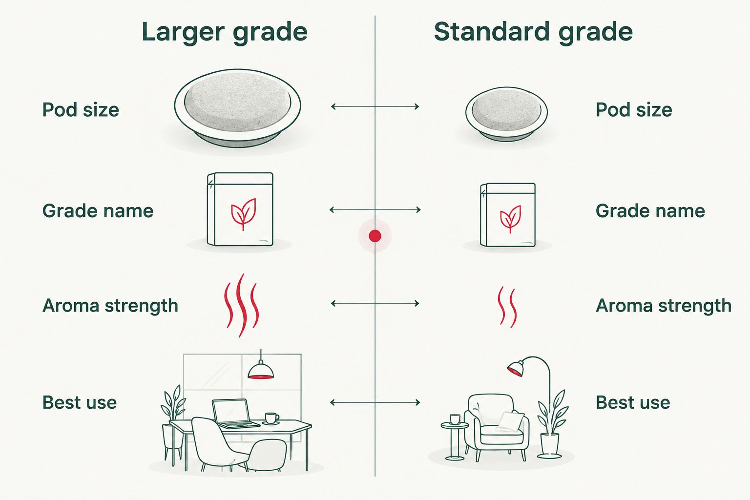 Comparison chart of larger grade versus standard grade green cardamom