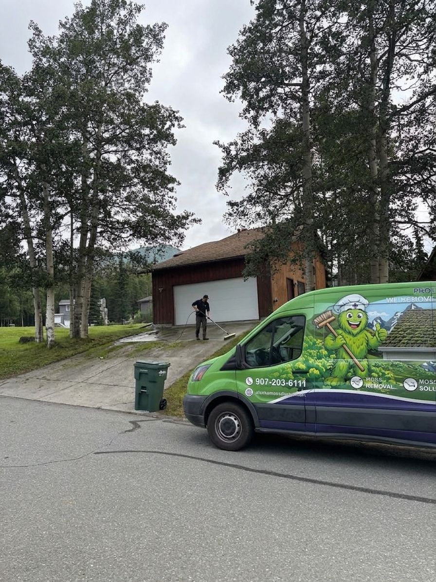 How to clean moss off a walkway or driveway safely