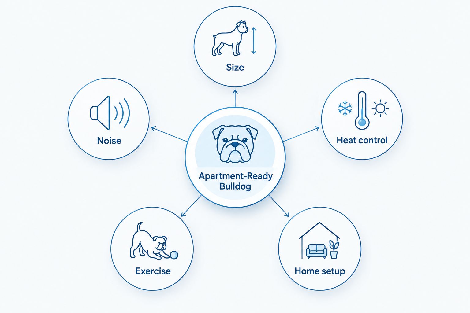 Diagram showing five factors for apartment-ready bulldog ownership: size, noise, heat control, exercise, home setup