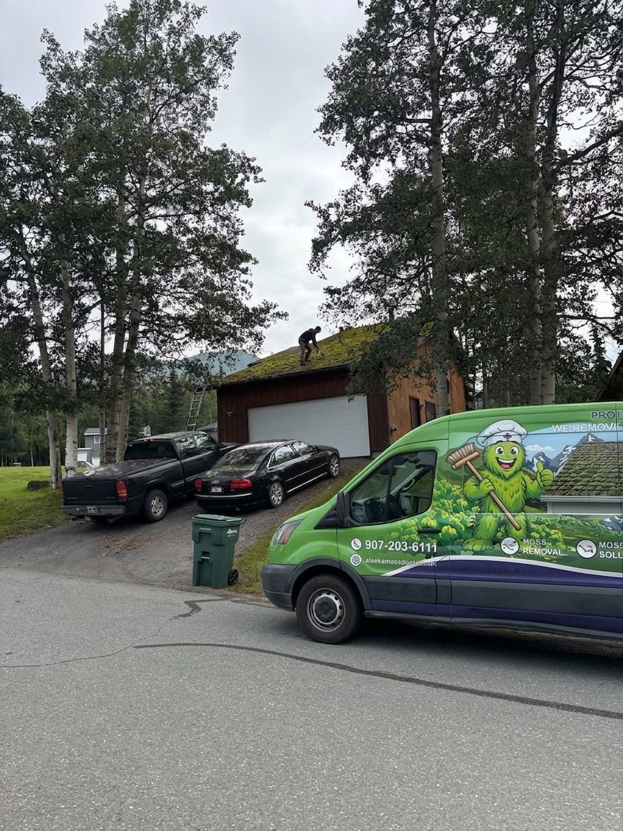 How to spot roof damage caused by moss buildup