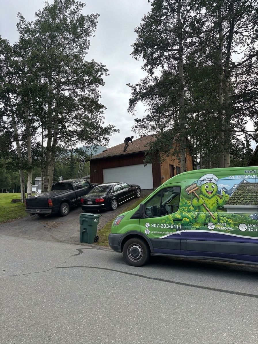Roof moss removal for older Alaska homes