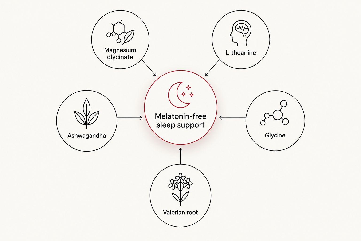 Diagram of five melatonin-free sleep ingredients around a central hub
