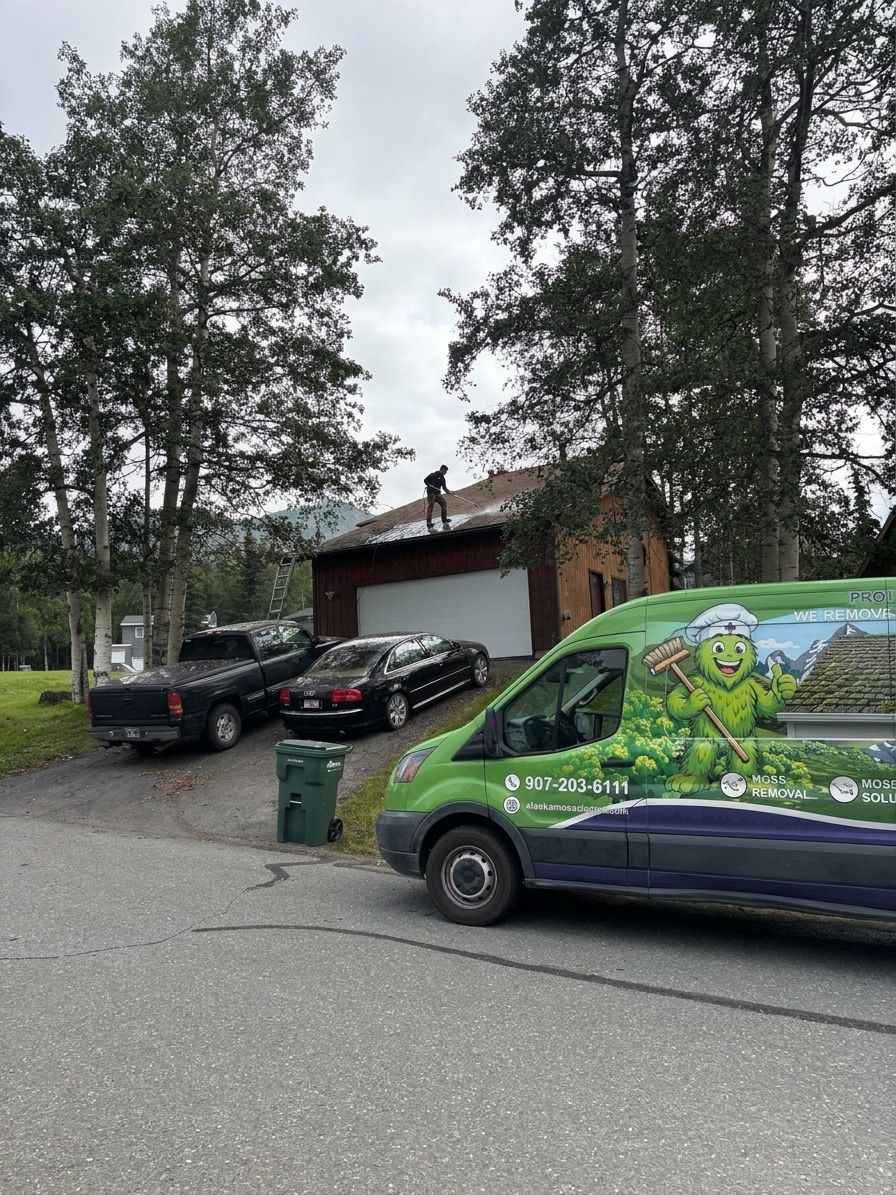Best soft wash solution for roof algae stains