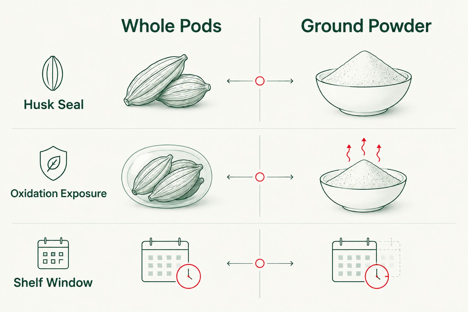 Comparison diagram of whole cardamom pods versus ground powder freshness factors