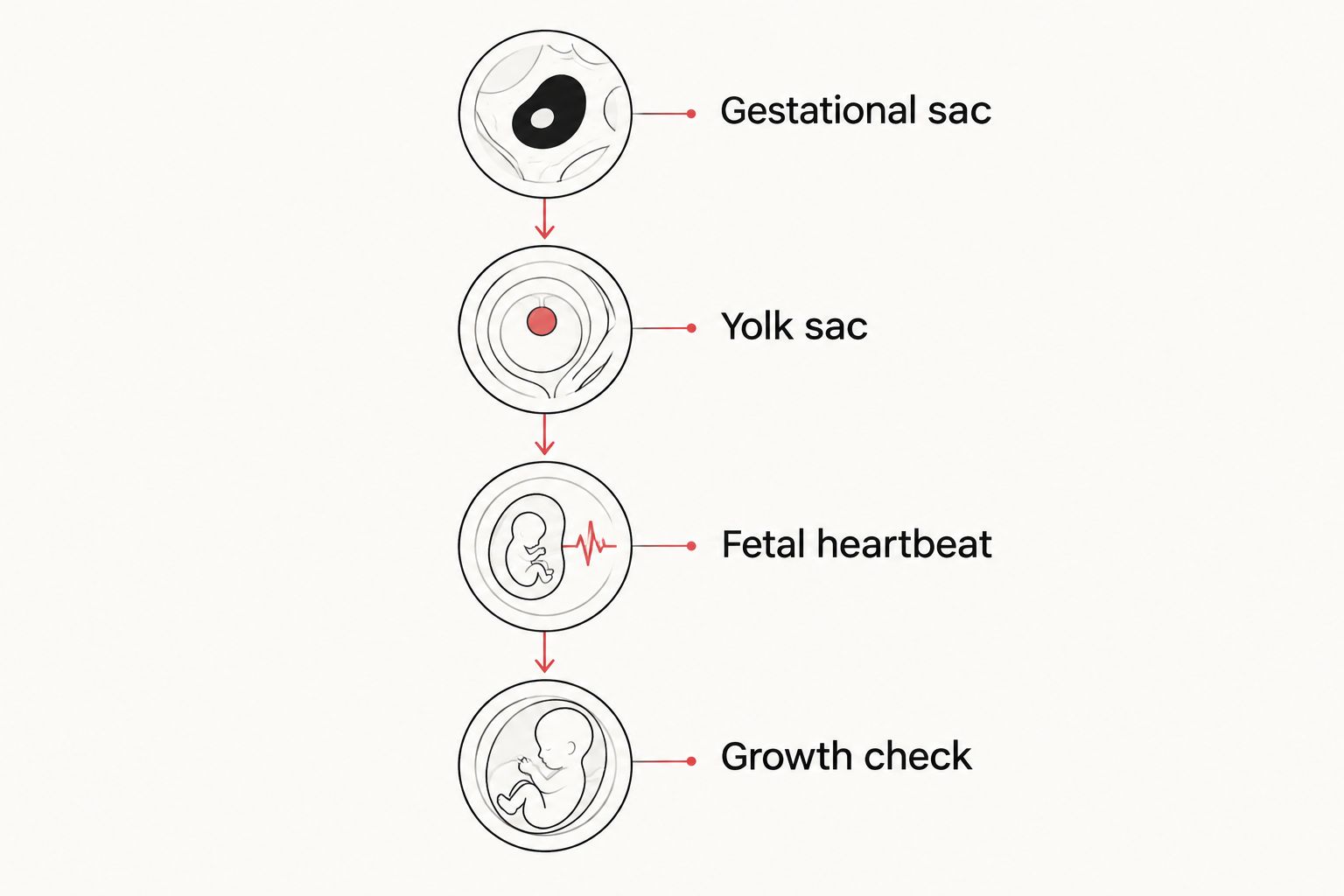 Timeline of early pregnancy ultrasound milestones from gestational sac to growth check