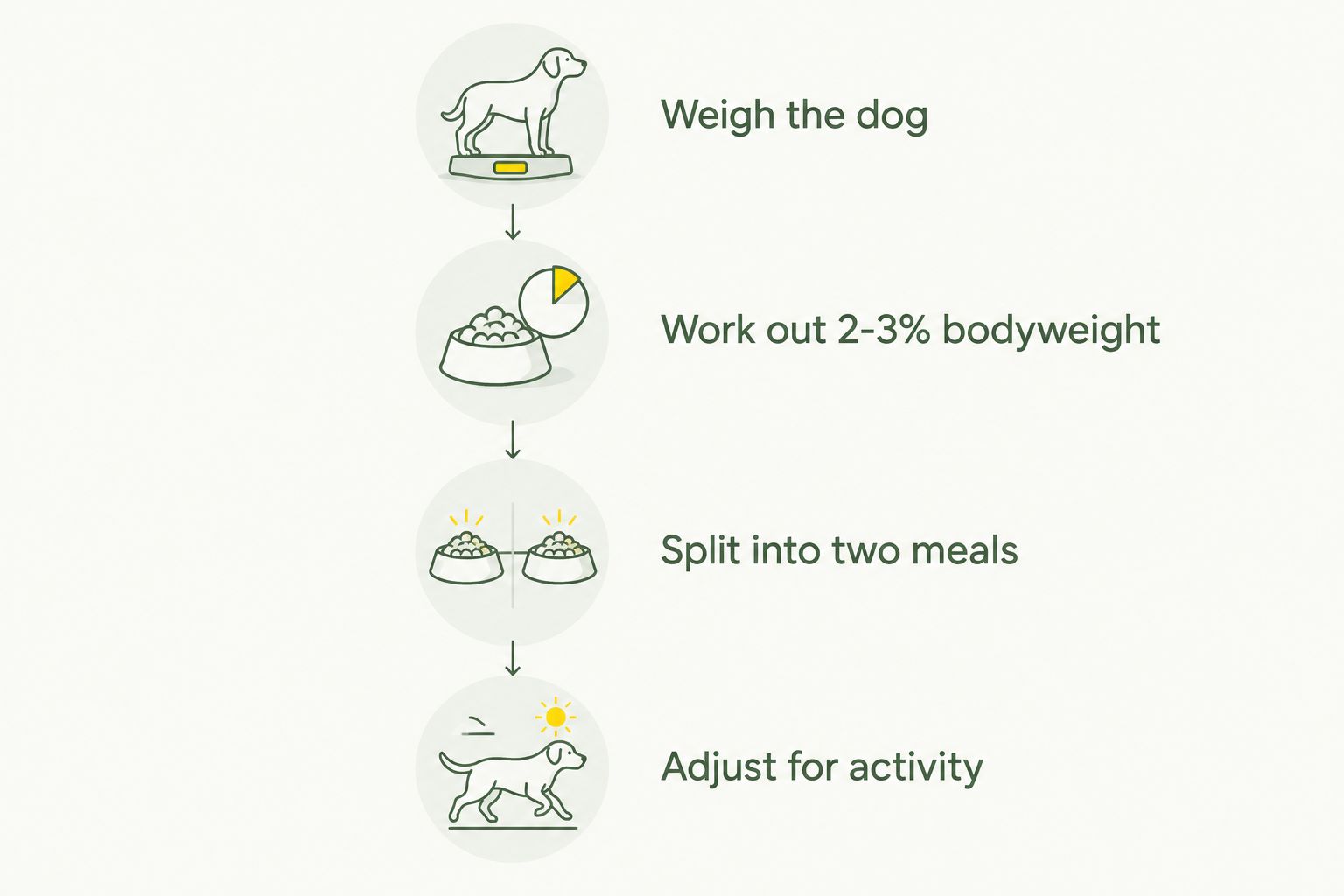 Four-step diagram for portioning raw food by bodyweight