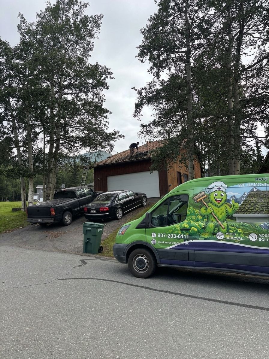 Roof algae removal for tile roofing