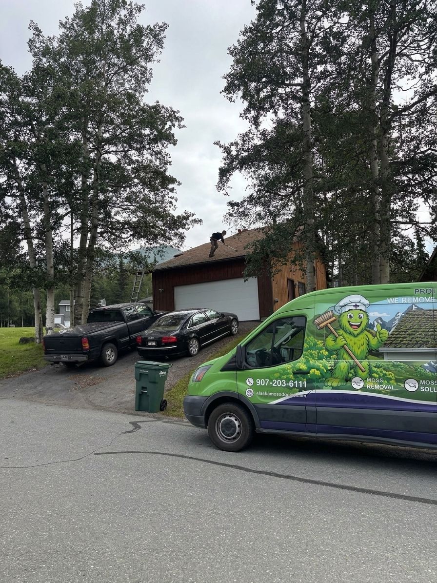 Roof moss removal for steep-pitch roofs