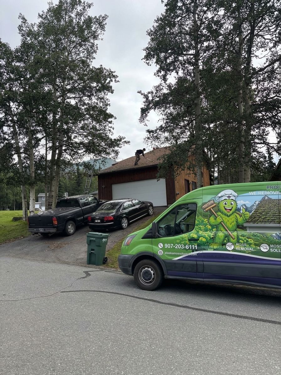 Best way to remove moss without damaging shingles