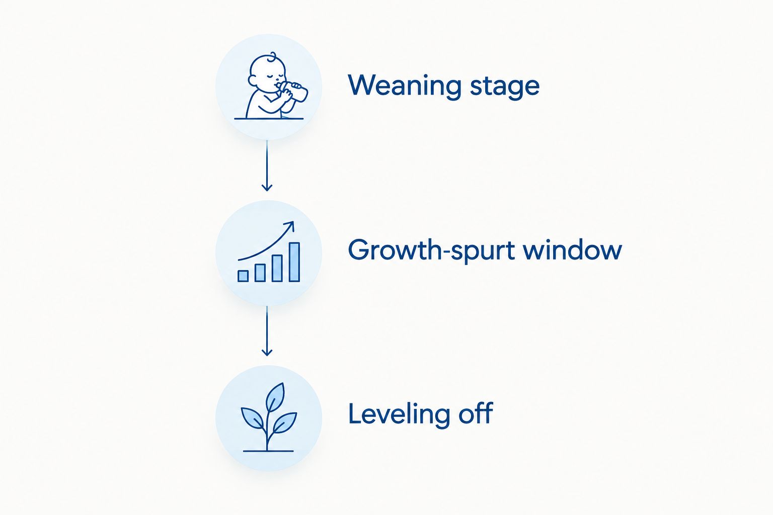 Vertical timeline showing weaning stage, growth-spurt window, and leveling off stages