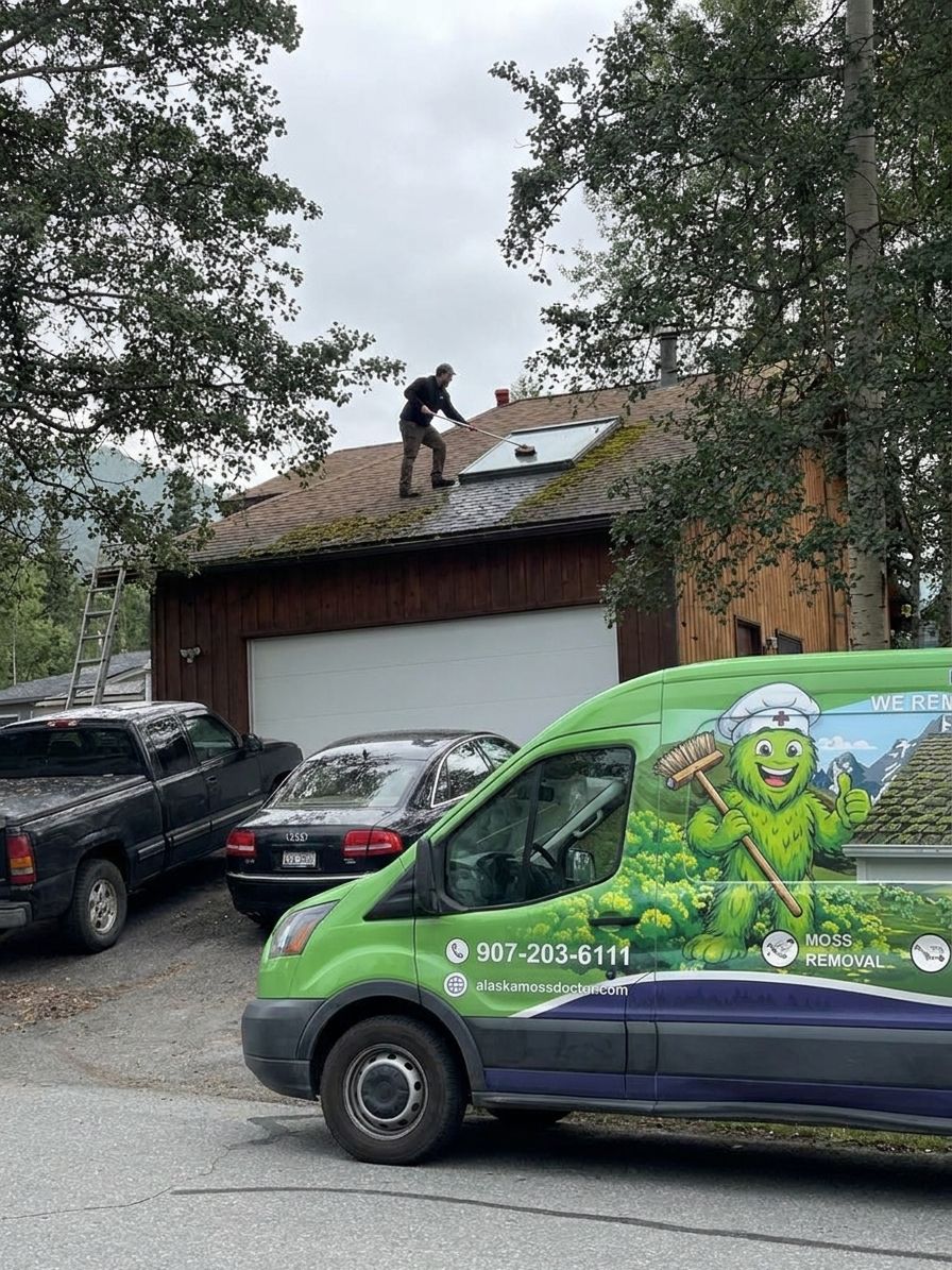 Skylight cleaning as part of roof moss removal