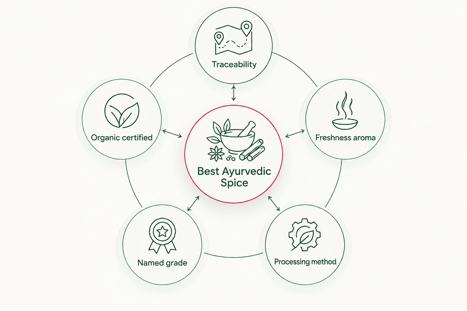 Diagram of five criteria orbiting a central hub for judging Ayurvedic cooking spices