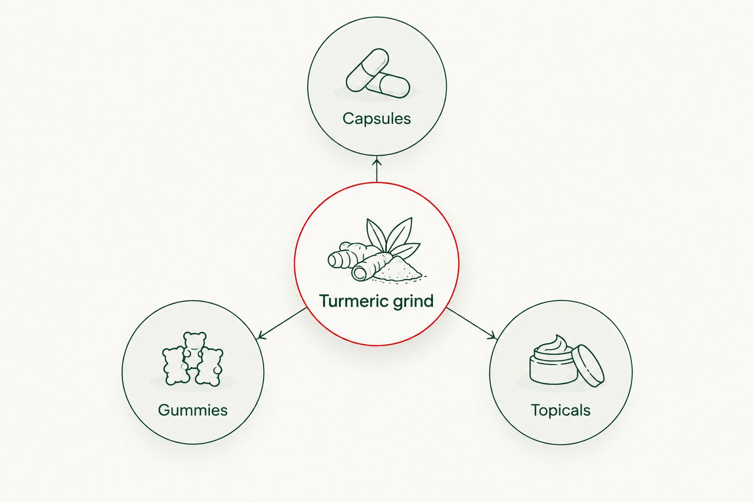 Diagram showing turmeric grind connecting to capsules, gummies and topicals