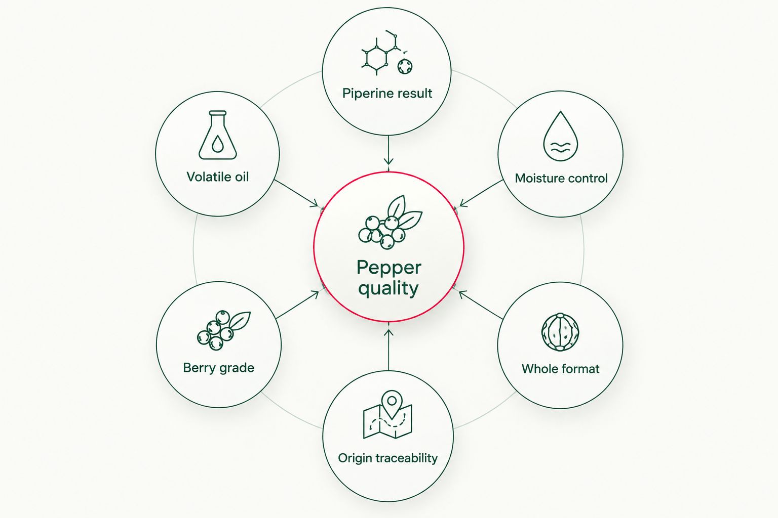 Six factors used to assess black pepper quality
