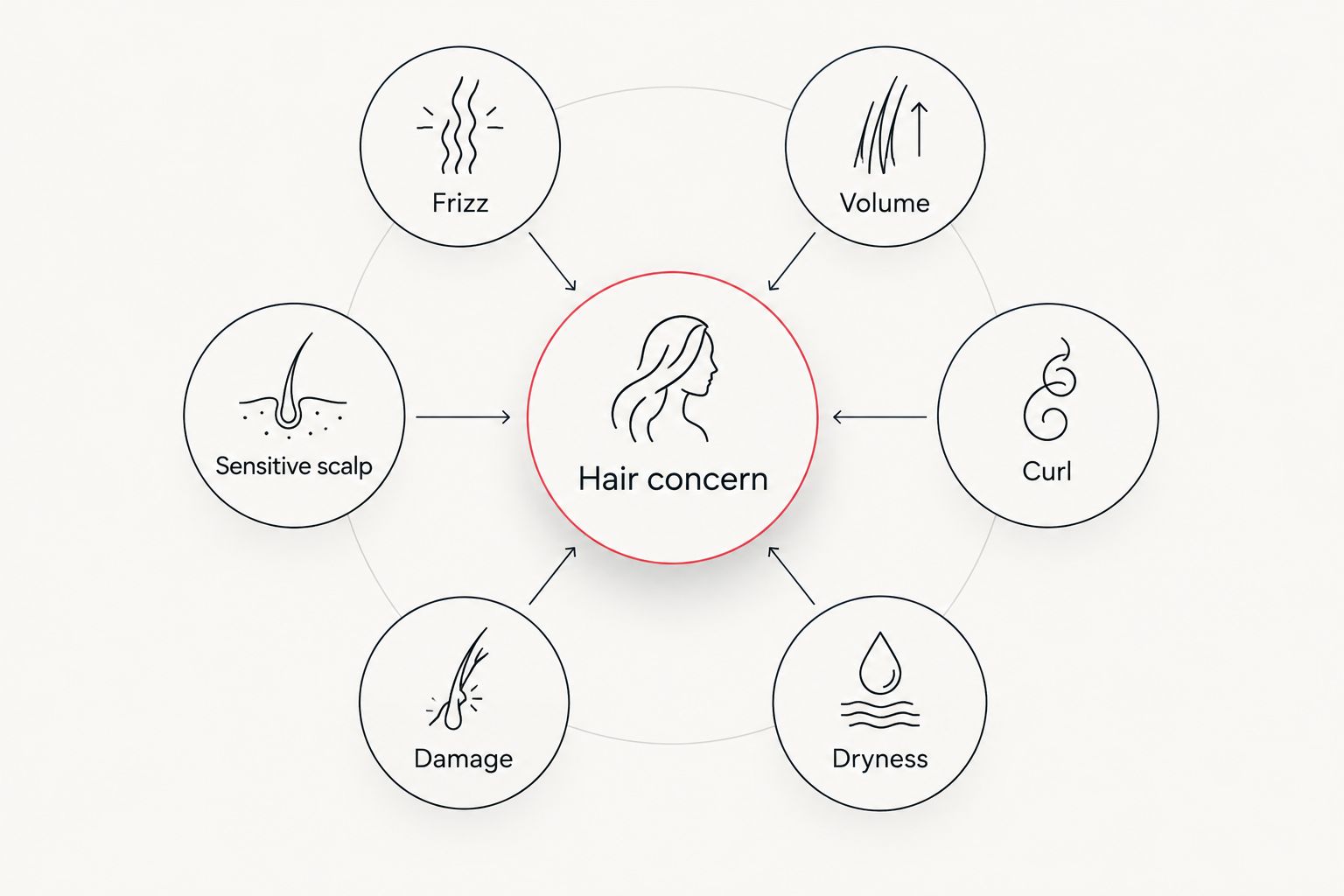 Diagram showing six hair concerns branching from one central decision point