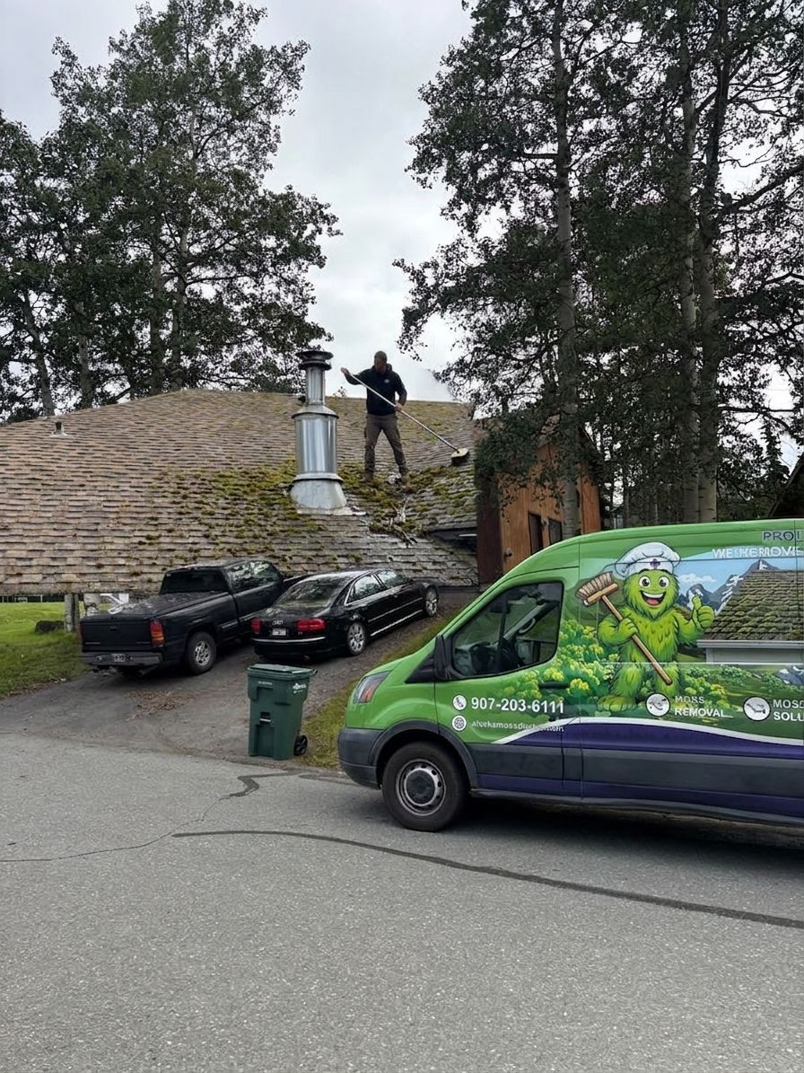 Chimney cap cleaning and moss removal service