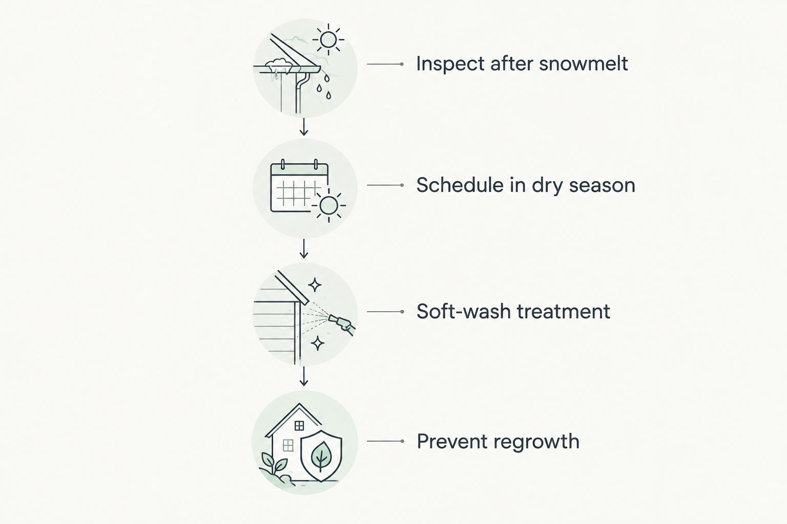 Four-stage timeline for Palmer Alaska roof moss removal from inspection to prevention