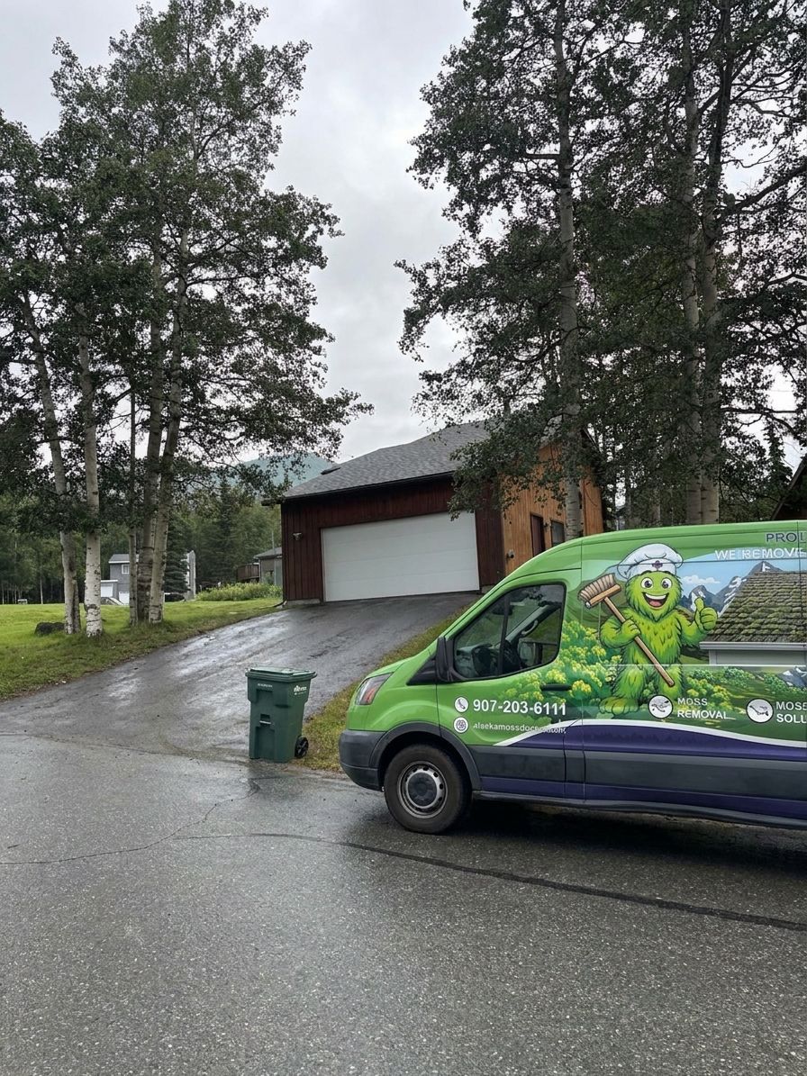 How to prevent moss regrowth after roof cleaning