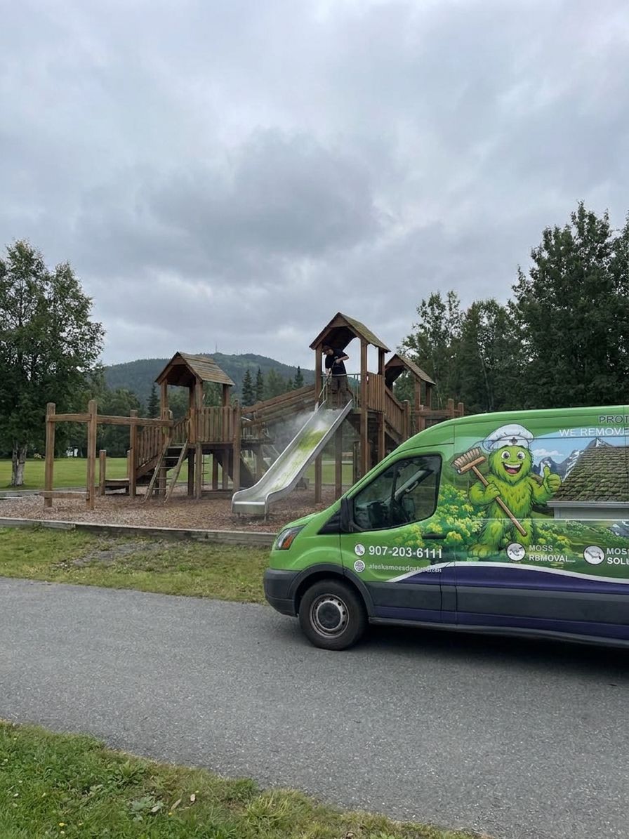 Algae and mold removal for playground equipment