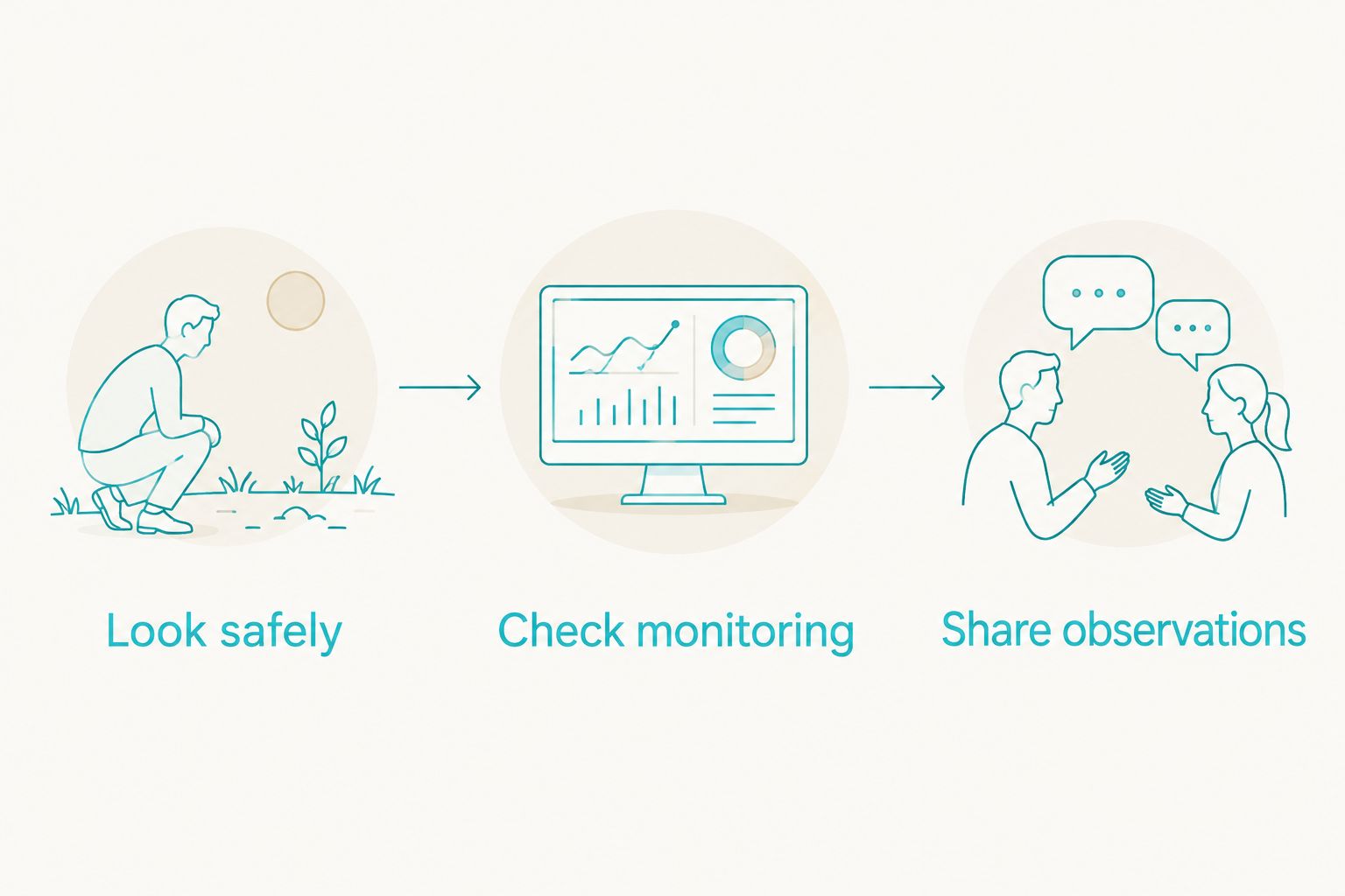 Three checks before requesting solar panel cleaning: look safely, check monitoring and share observations.