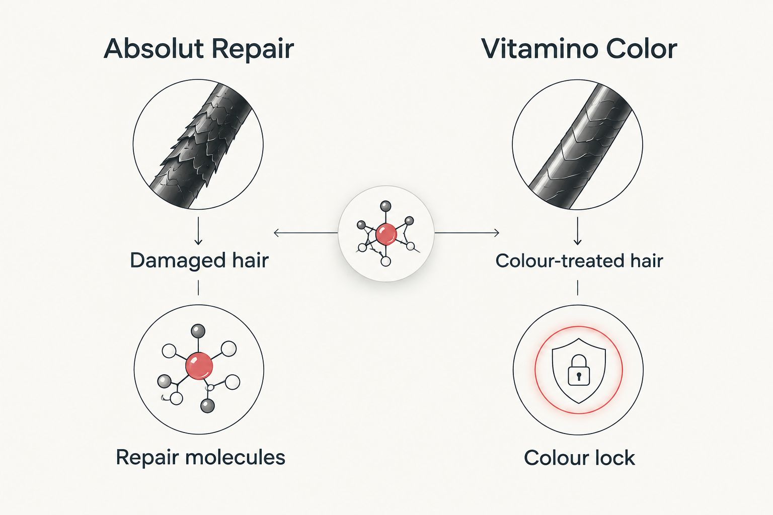 Two column comparison of L'Oréal Professionnel Absolut Repair and Vitamino Color ranges