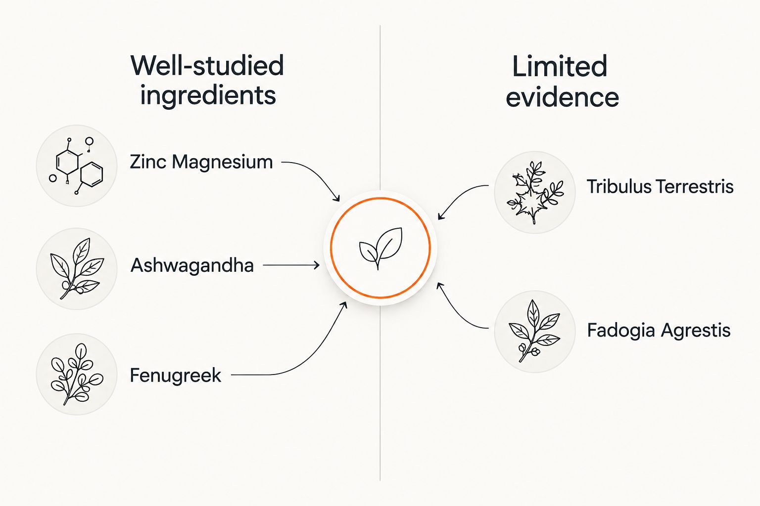 Two-column comparison of well-studied versus limited-evidence testosterone booster ingredients