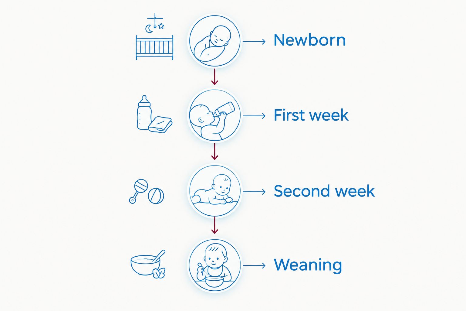 Timeline showing four heating stages from newborn to weaning