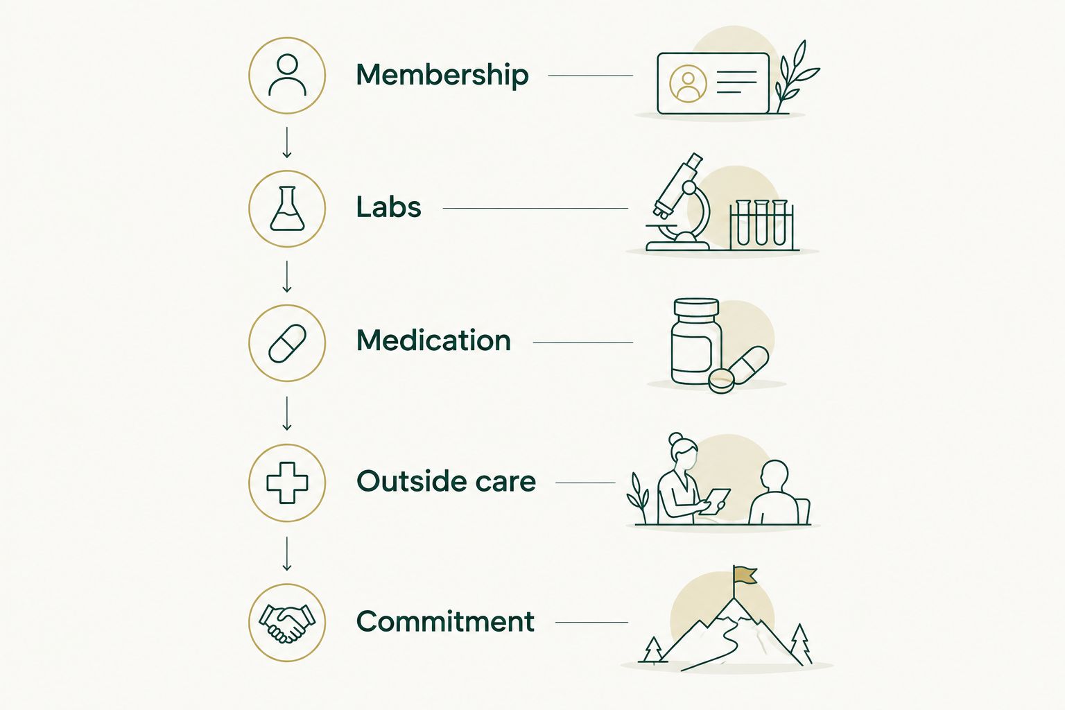 Five checks for comparing membership care: membership, labs, medication, outside care, and commitment