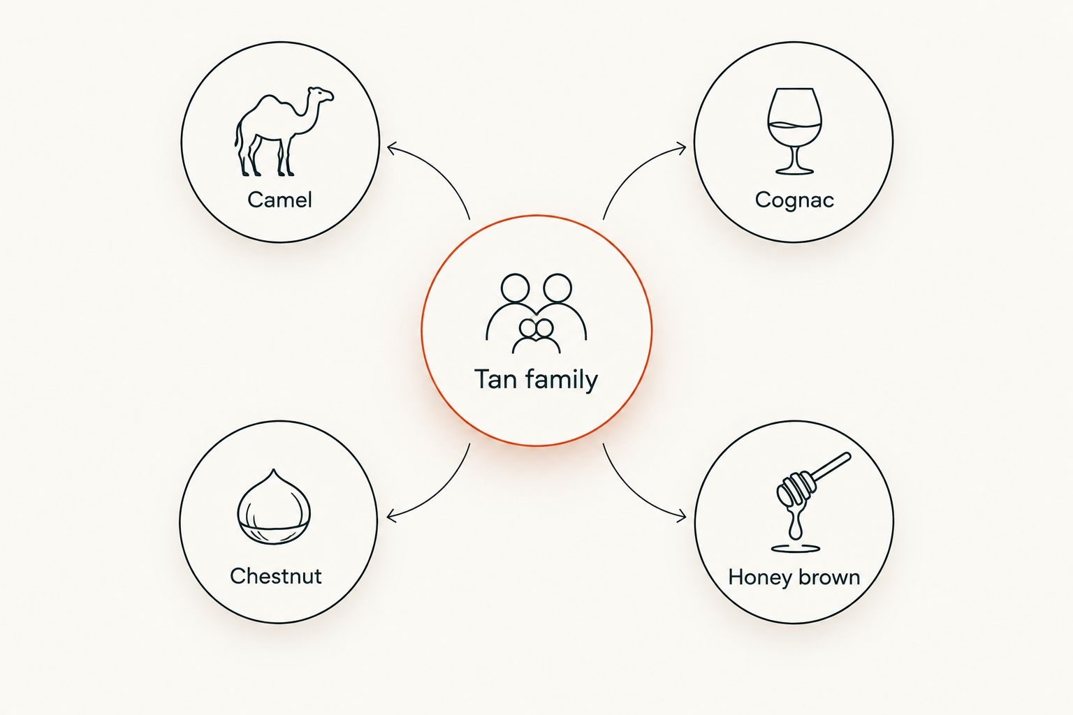 Diagram showing camel, cognac, chestnut, and honey brown as shades within the tan family