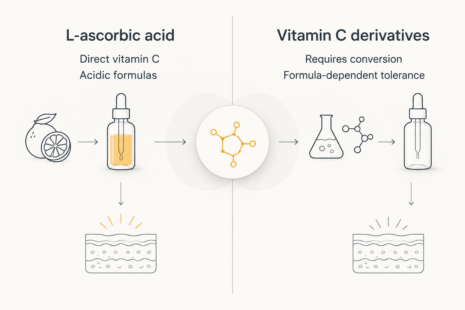 Comparison of direct L-ascorbic acid and vitamin C derivatives