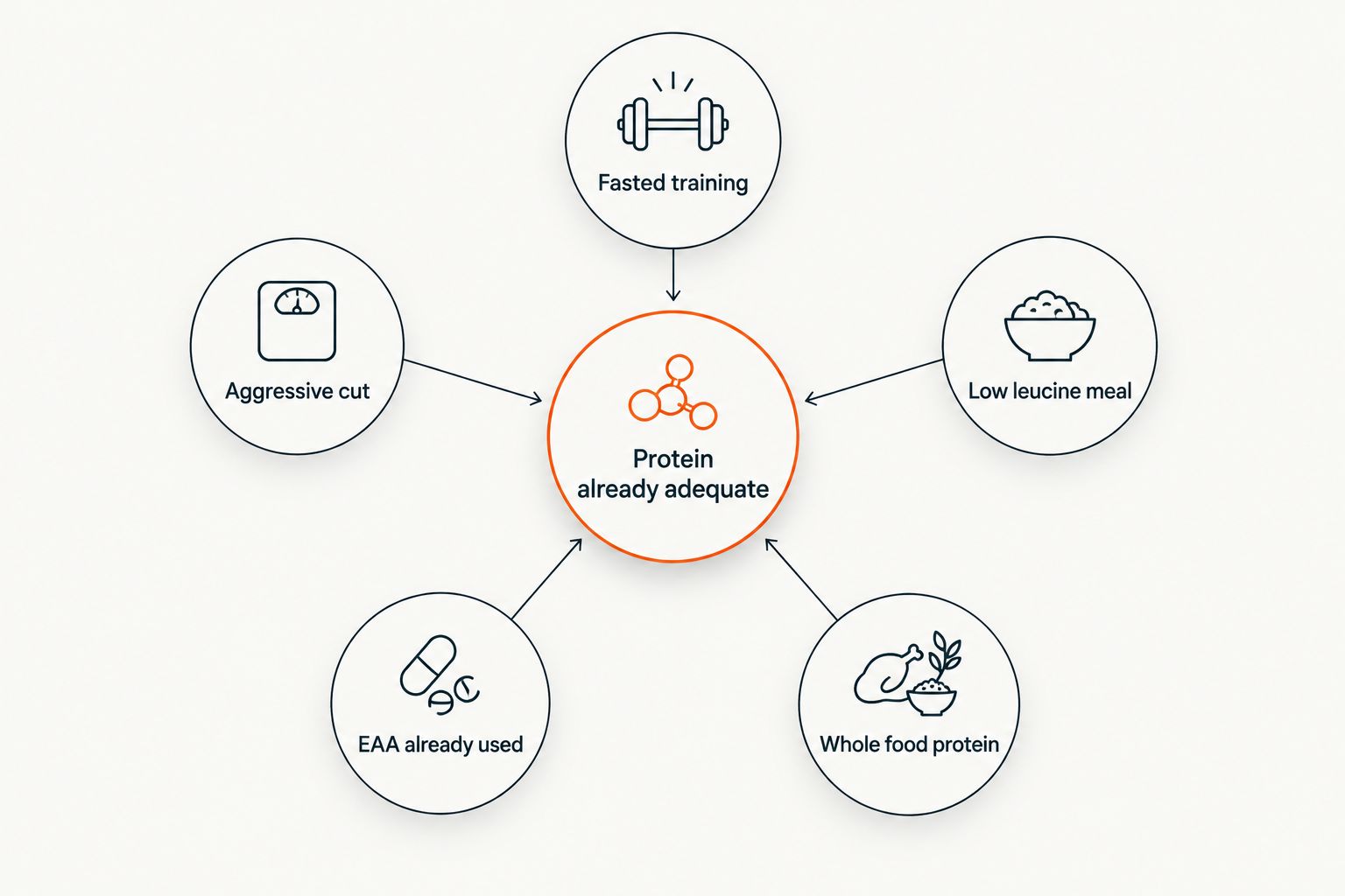 Hub and spoke diagram showing when BCAA still matters despite adequate protein intake