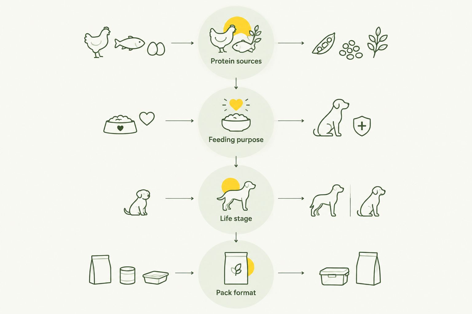 Four checks for choosing raw food: protein sources, feeding purpose, life stage and pack format.