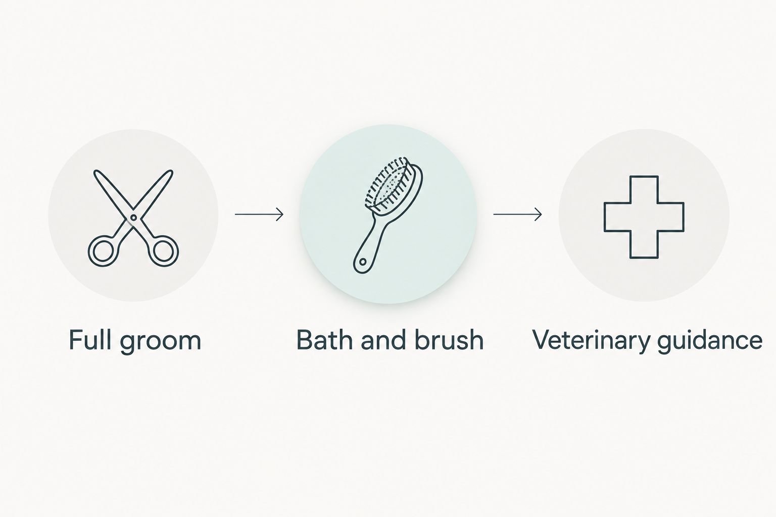 Three care pathways: a full groom, bath and brush, or veterinary guidance before grooming.