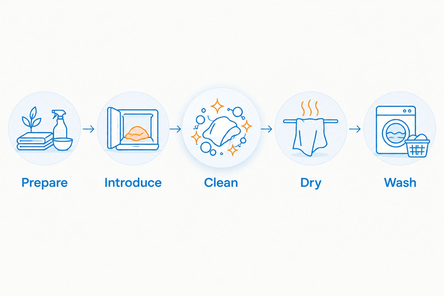 Paw cleaner routine showing preparation, introduction, cleaning, drying, and washing