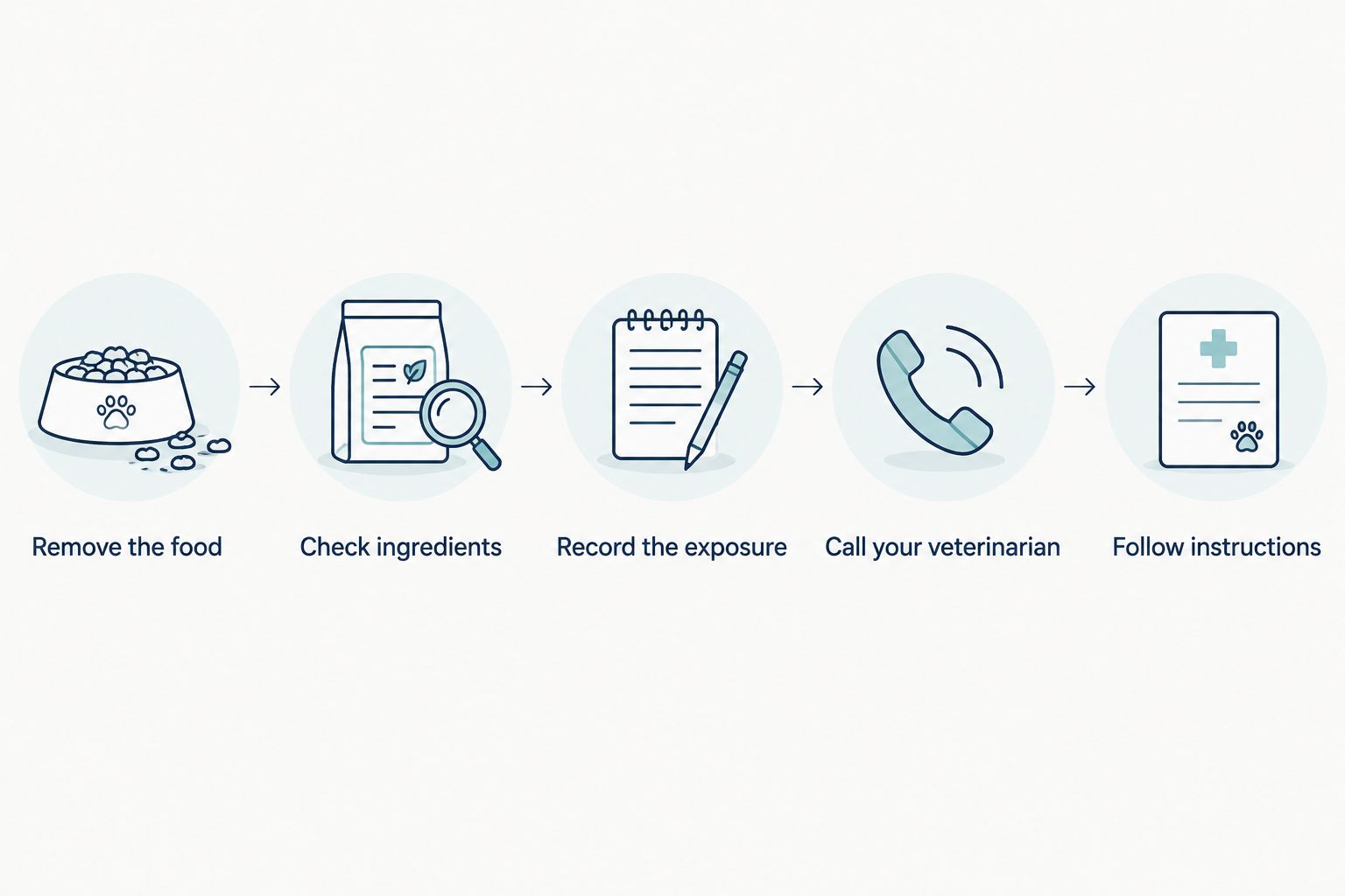 Steps to take after a cat eats lasagna, from removing the food to following veterinary instructions.
