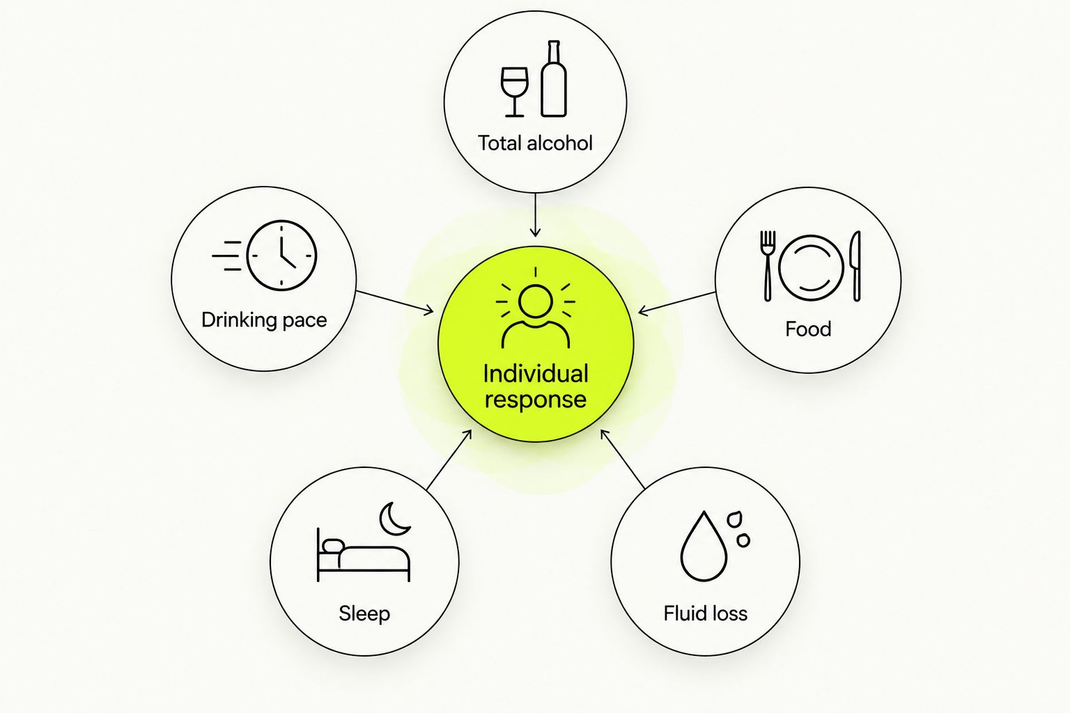 Diagram of alcohol intake, drinking pace, food, sleep, fluid loss, and individual response