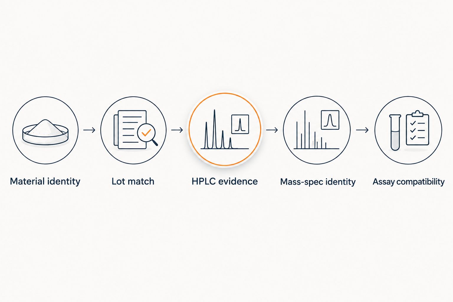 Five checks connecting peptide identity, lot documentation, analytical evidence, and assay compatibility