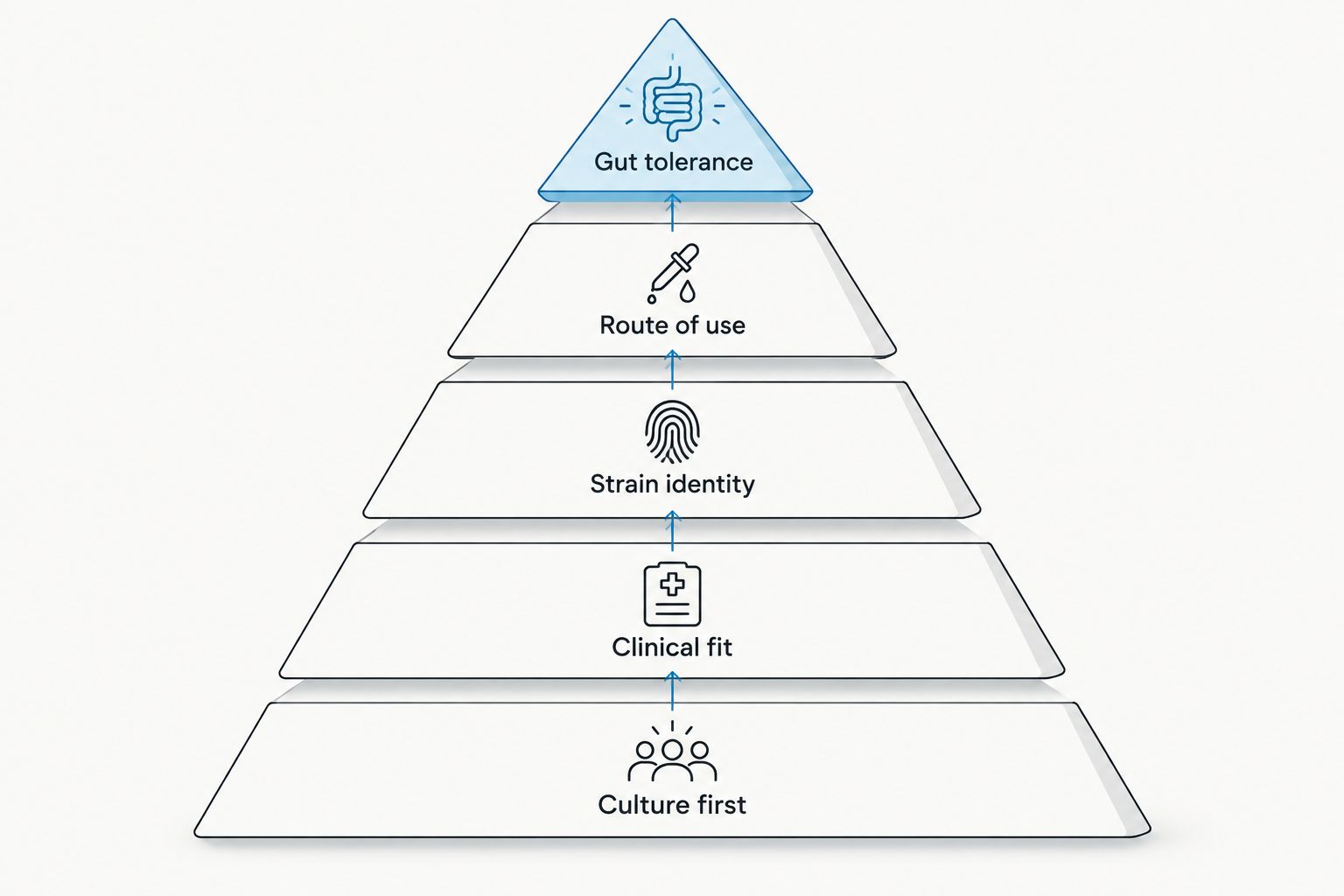 Pyramid showing culture, clinical fit, strain, route and gut tolerance as selection criteria
