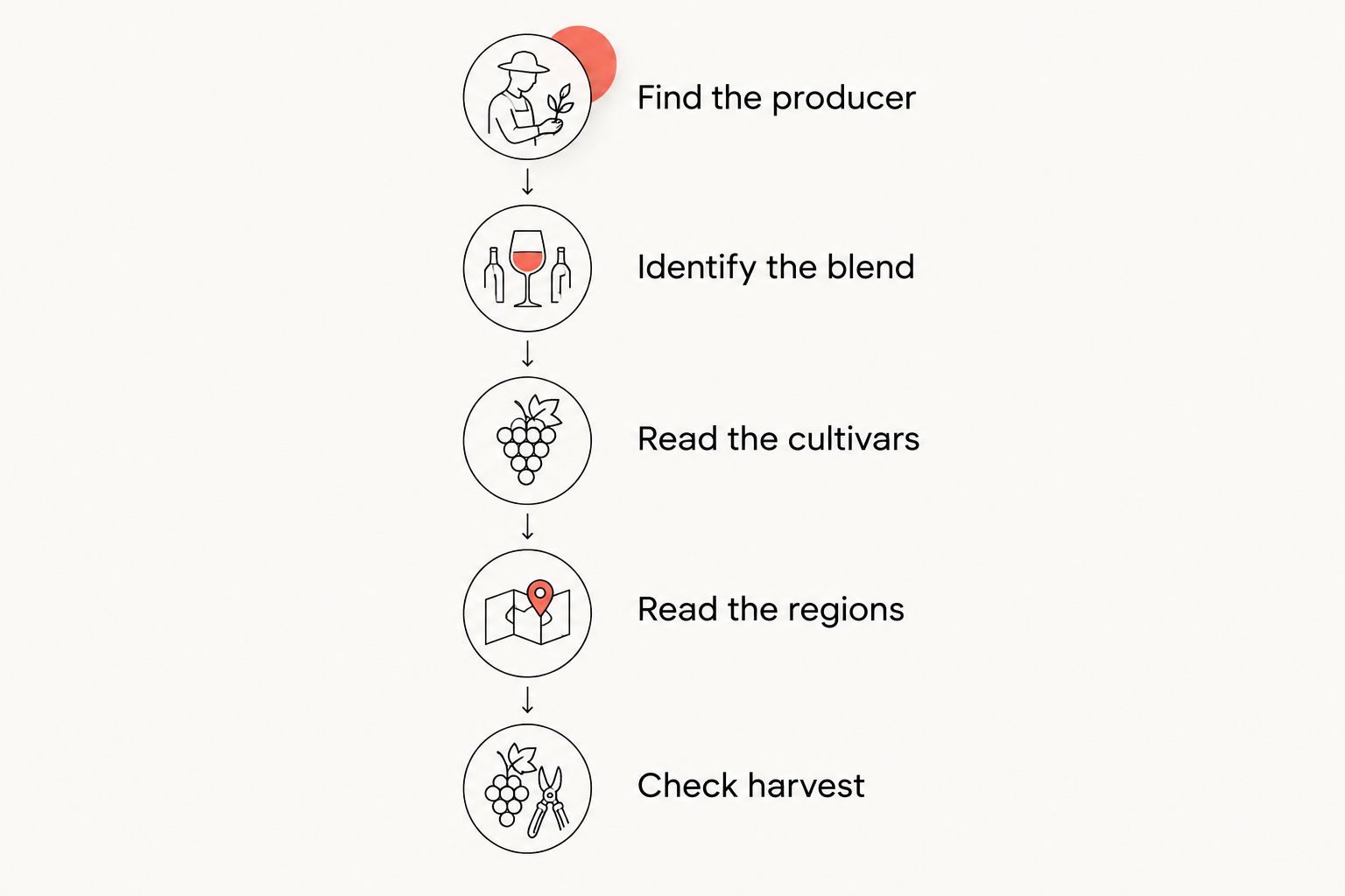 Five steps for reading a matcha blend description, from producer to harvest details
