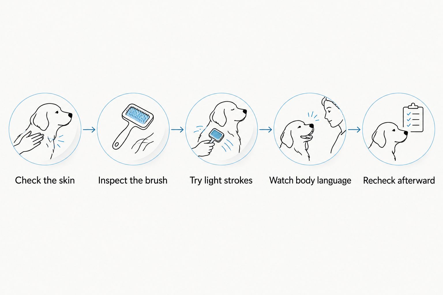 A gentle brushing sequence from checking the skin to watching comfort and rechecking afterward