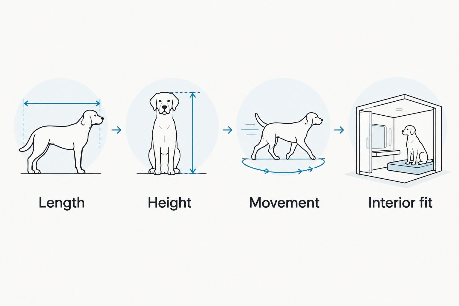 Four crate-fitting checks: length, height, movement, and usable interior space.