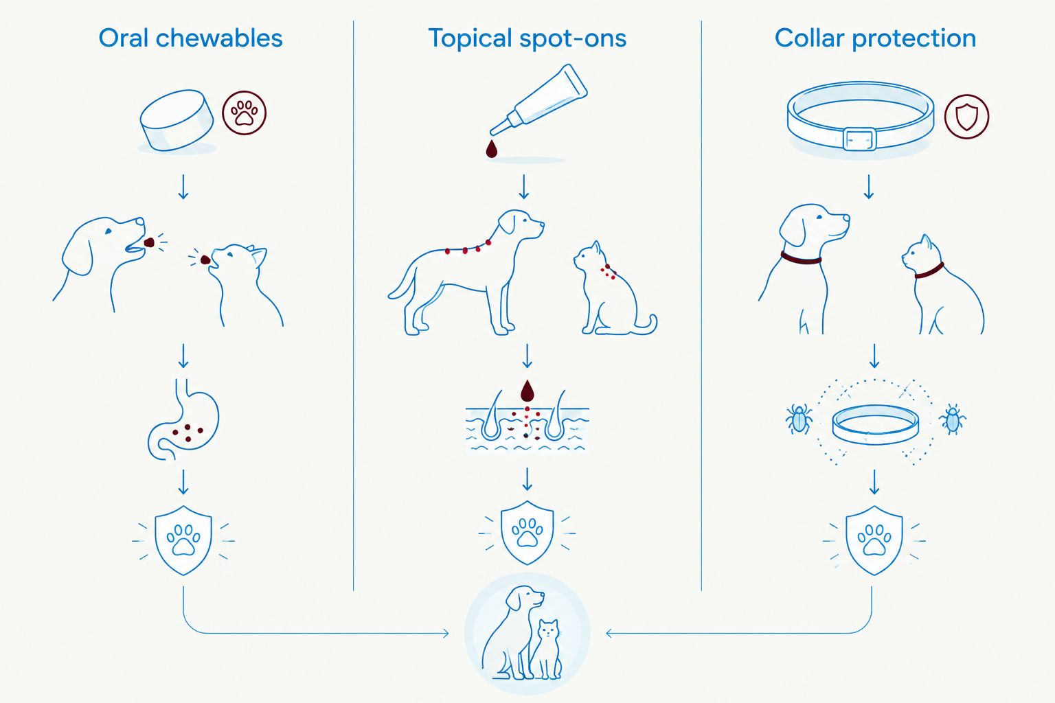 Three columns comparing oral chewables, topical spot-ons, and collar protection for flea and tick prevention