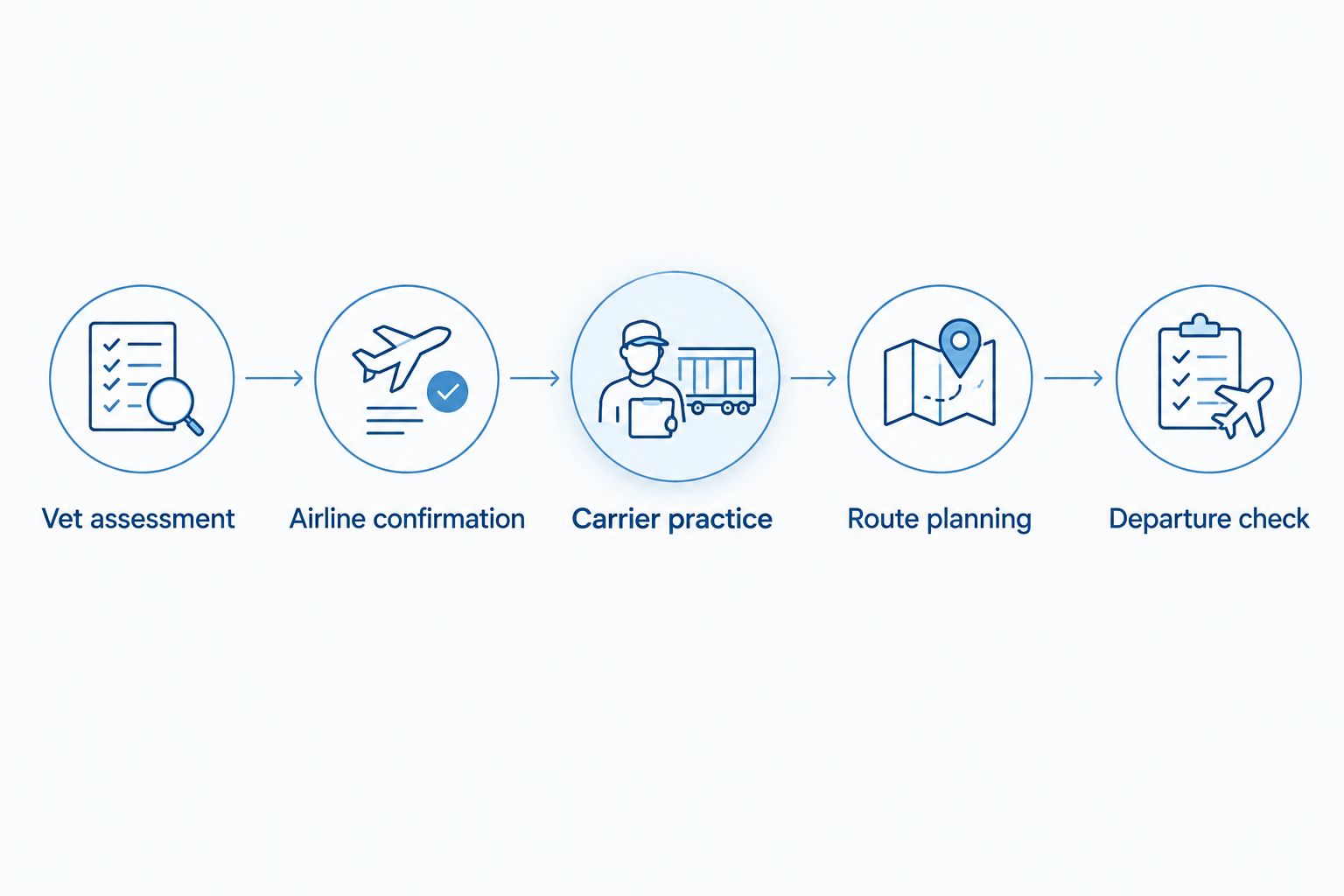 Flight preparation sequence from veterinary assessment to the departure-day health check